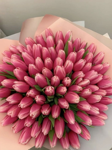 Picture of Tulips bouquet 